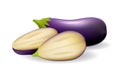 Eggplants aubergine vegetable realistic