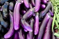 Eggplants background