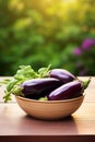 Eggplants in a bowl against the backdrop of the garden. Selective focus.