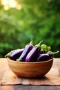 Eggplants in a bowl against the backdrop of the garden. Selective focus.