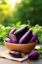 Eggplants in a bowl against the backdrop of the garden. Selective focus.