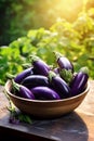 Eggplants in a bowl against the backdrop of the garden. Selective focus.