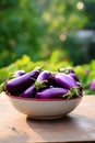 Eggplants in a bowl against the backdrop of the garden. Selective focus.