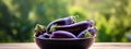 Eggplants in a bowl against the backdrop of the garden. Selective focus.