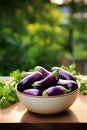 Eggplants in a bowl against the backdrop of the garden. Selective focus.