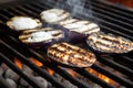 eggplants with charring marks on a grill, white smoke around Royalty Free Stock Photo