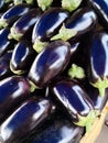 Eggplants closeup Royalty Free Stock Photo