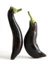 Eggplants dealing Royalty Free Stock Photo