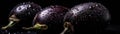Eggplants With Droplets Standing On Black Background Wide Panoramic. Generative AI Royalty Free Stock Photo