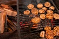 Eggplants grill. Vegetables are fried or baked on open fire. Barbecue kitchen party close up image. Cooking on wire rack