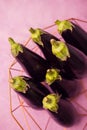 Eggplants inan iron bowl Royalty Free Stock Photo