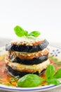 Eggplants parmigiana Royalty Free Stock Photo