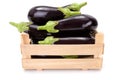 Eggplants (Solanum melongena) in wooden crate