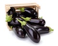 Eggplants (Solanum melongena) in wooden crate Royalty Free Stock Photo