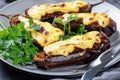 Eggplants stuffed with ground beef on a plate Royalty Free Stock Photo