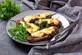 Eggplants stuffed with ground beef on a plate Royalty Free Stock Photo