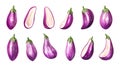 Eggplants on transparent background Royalty Free Stock Photo