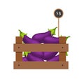 Eggplants in wooden grate