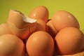 Eggs Royalty Free Stock Photo