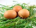 Eggs Royalty Free Stock Photo