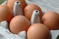 Eggs Royalty Free Stock Photo