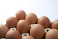 Eggs Royalty Free Stock Photo