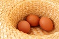 Eggs Royalty Free Stock Photo