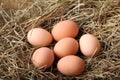 Eggs