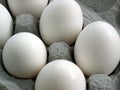 Eggs Royalty Free Stock Photo
