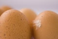Eggs Royalty Free Stock Photo