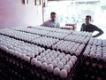 eggs arrange in proper sequence at non-vegetarian shop at meat market in India dec 2019 Royalty Free Stock Photo