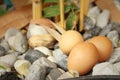 Eggs on a background of stone at the park Royalty Free Stock Photo