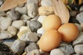 Eggs on a background of stone at the park Royalty Free Stock Photo