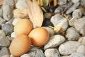 Eggs on a background of stone at the park Royalty Free Stock Photo