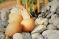 Eggs on a background of stone at the park Royalty Free Stock Photo