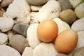 Eggs on a background of stone at the park Royalty Free Stock Photo