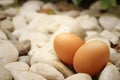 Eggs on a background of stone at the park Royalty Free Stock Photo
