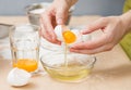 Eggs for bakery homemade Royalty Free Stock Photo