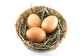 Eggs in bamboo basket Royalty Free Stock Photo