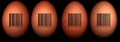 Eggs with barcode Royalty Free Stock Photo