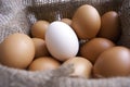 Eggs in the basket Royalty Free Stock Photo