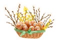 Eggs in basket