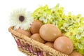 Eggs in a basket