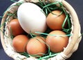 Eggs in the basket