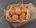 Eggs in a basket on grey background