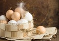 Eggs in a basket. top view of eggs in bowl. Brown eggs in wooden bowl. Chicken Egg. Hen eggs basket Royalty Free Stock Photo