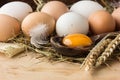 Eggs in a basket. top view of eggs in bowl. Brown eggs in wooden bowl. Chicken Egg. Hen eggs basket Royalty Free Stock Photo
