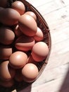 Eggs in a basket Royalty Free Stock Photo