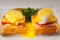 Eggs benedict on bread with tomato and ham Royalty Free Stock Photo