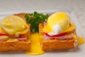 Eggs benedict on bread with tomato and ham Royalty Free Stock Photo